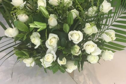 DQ bingqilin (xinshijiguangchang'er)