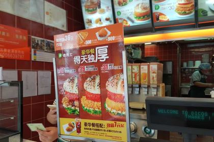 Dicos (shanxifujing1)