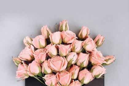 肯德基(馬鞍山八佰伴店)