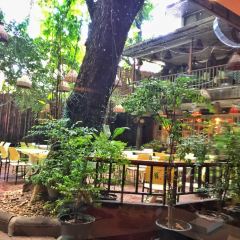 Cabbages & Condoms Restaurant User Photo