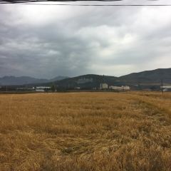 大铁锅(民族路店) User Photo