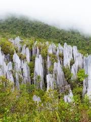 Gunung Mulu National Park