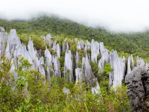 姆魯山國家公園