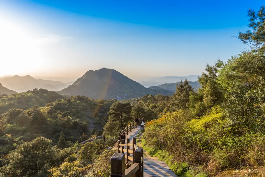 大羅山