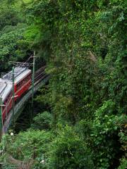 Asunaro Sightseeing Train