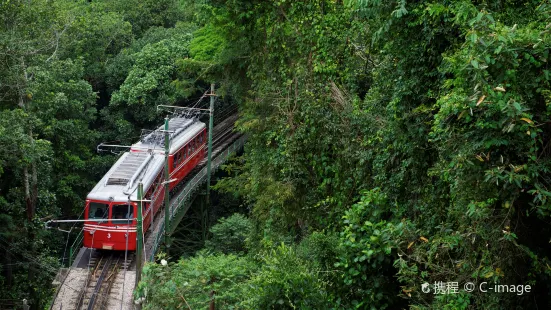 Asunaro Sightseeing Train