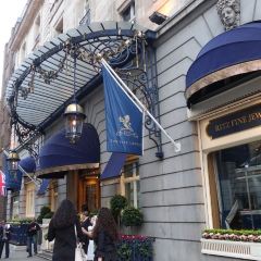 The Palm Court User Photo