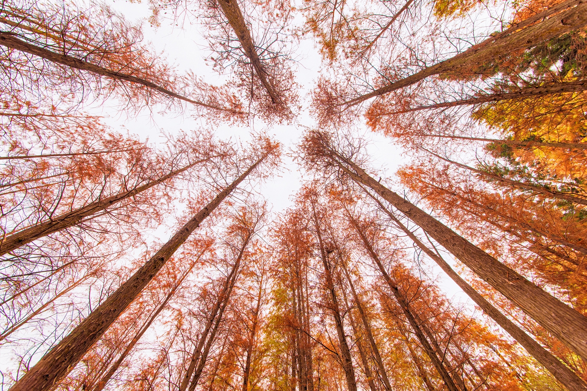 Popular Activities in Shenzhen