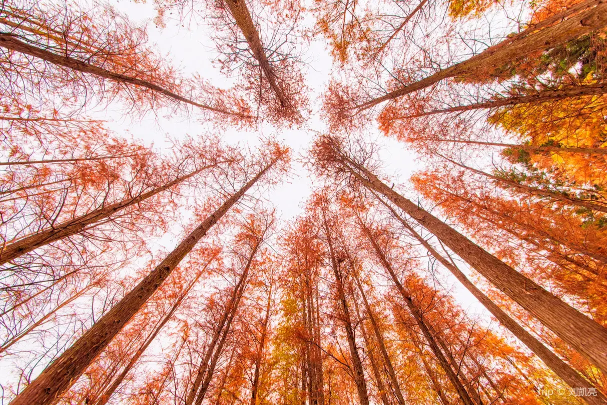 3_Lian Hua Shan Park