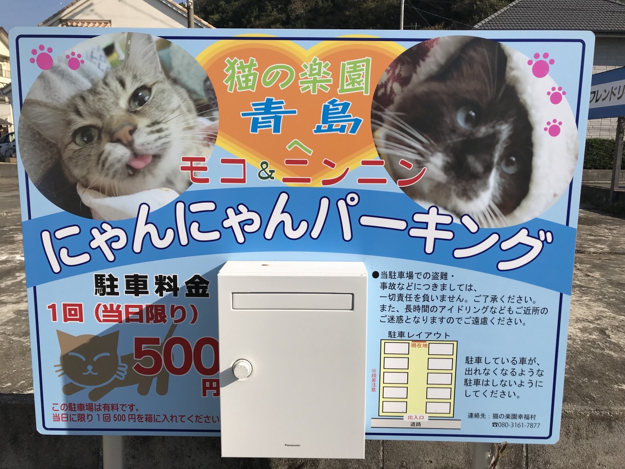 大洲 青島 評判 案内 トリップドットコム