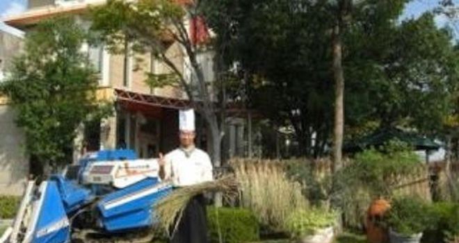 Fresh Pasta & Trattoria Piaa Forte