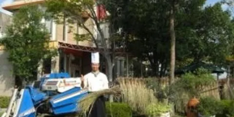 Fresh Pasta & Trattoria Piaa Forte