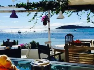 Bossa Nova & Jazz Cafè
