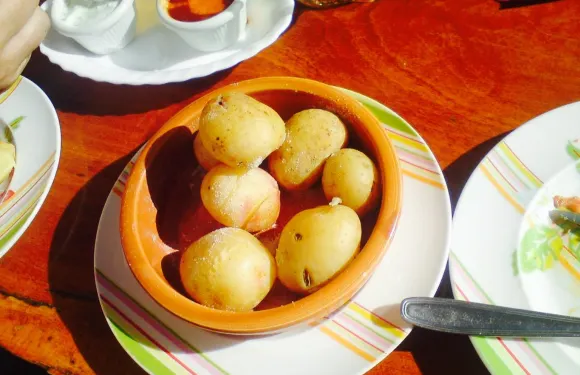 El Albaricoque Fataga