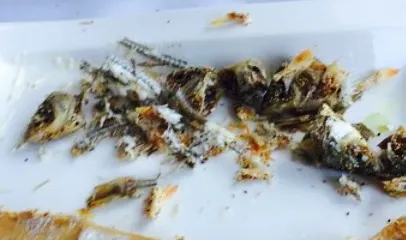 Auberge Restaurant du Lac