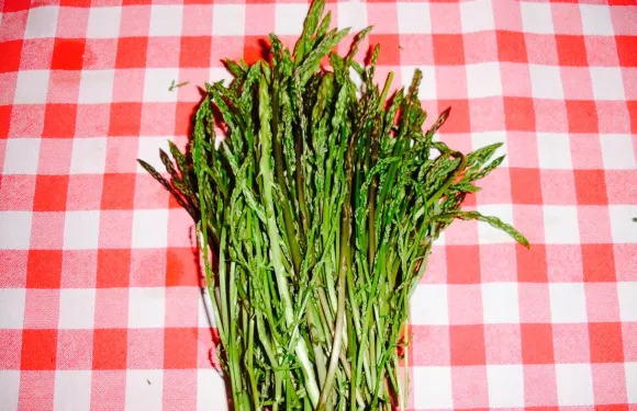 Trattoria La Scarpetta