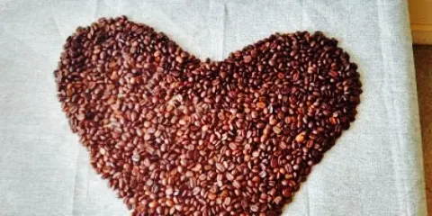 Menehune Coffee Company
