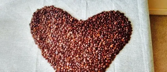 Menehune Coffee Company