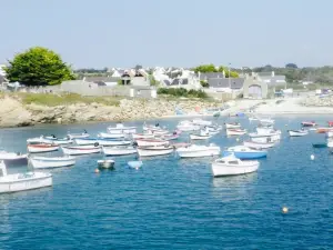 le galion