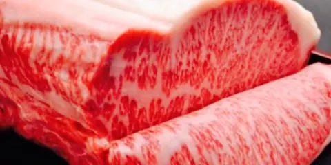 Matsuzaka Maruyoshi Matsugashima