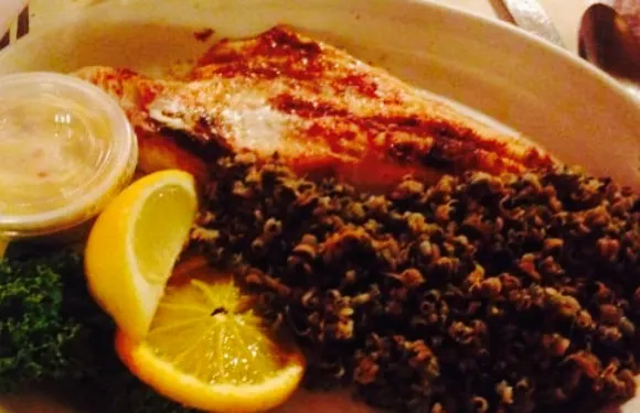 The Dam Supper Club/Restaurant