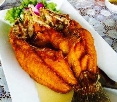 Chomchol