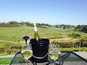 Elk Creek Vineyards