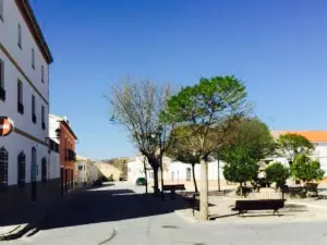 cortes de baza