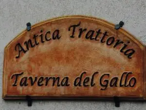 Taverna del Gallo