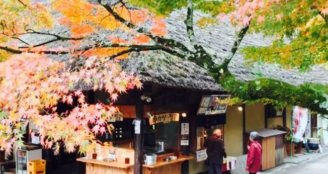 Kurinoki Cafe