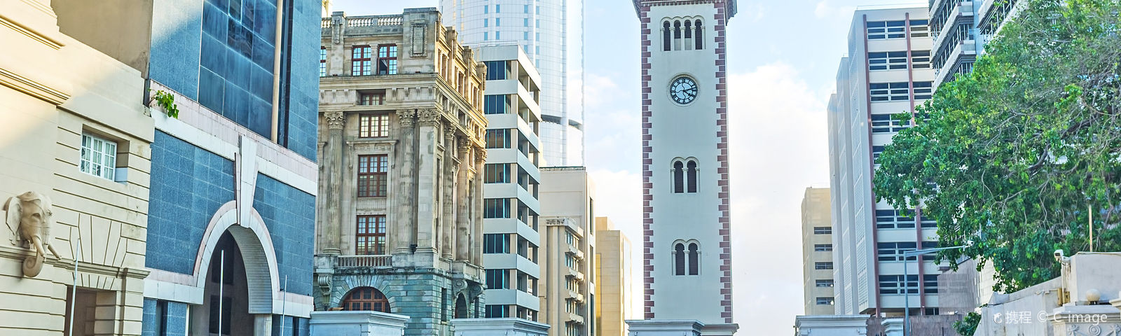 콜롬보데이 투어