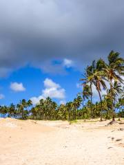 Anakena Beach