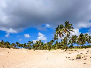 Anakena Beach