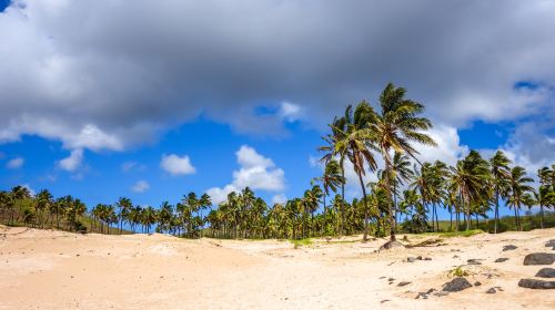 Anakena Beach