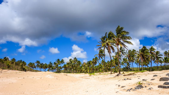 Anakena Beach