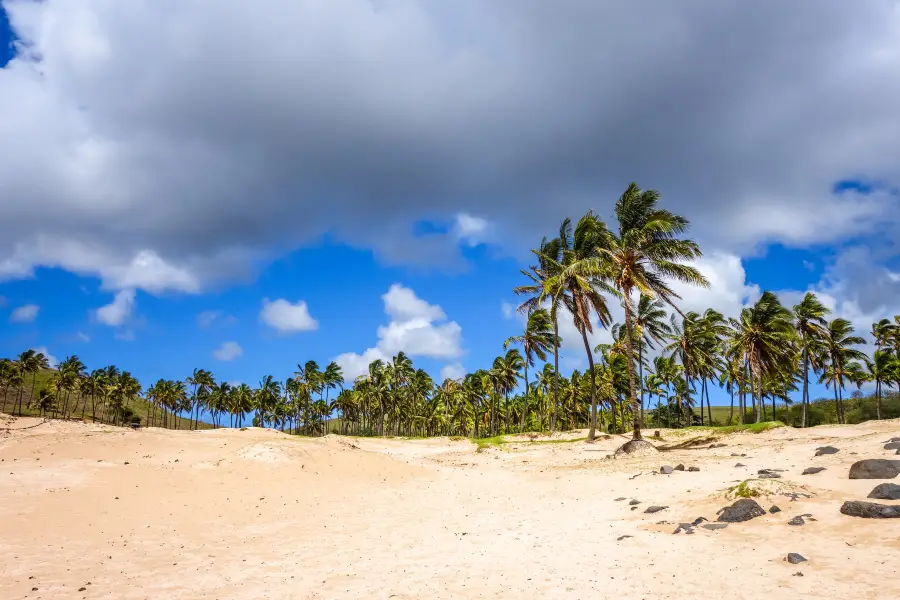 Anakena Beach