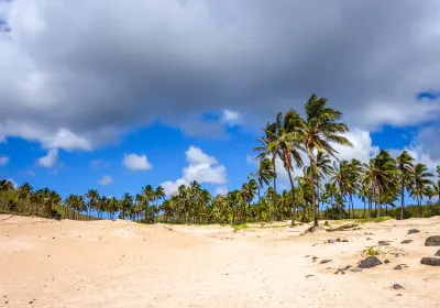 Anakena Beach