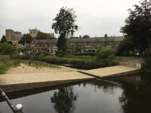 The Water Rat