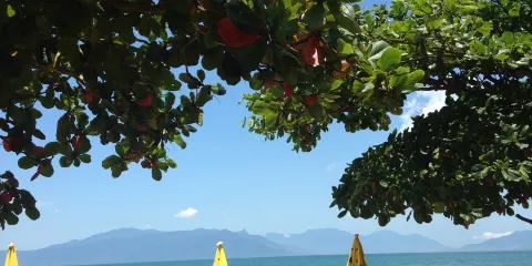 Restaurante Golfinho