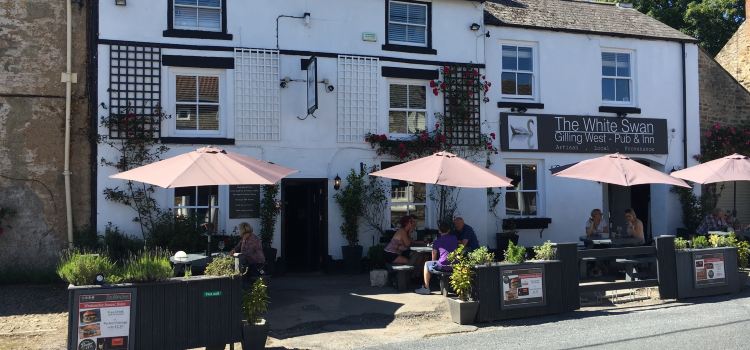 The White Swan