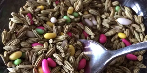 Little India Healthy Cuisine