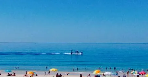 Ilha do Arroz in Carvalhal