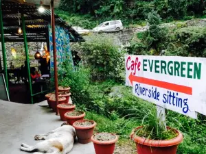 Cafe Evergreen Manali