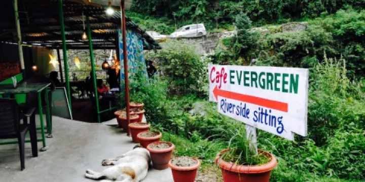 Cafe Evergreen Manali
