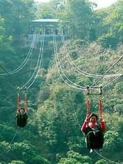 สาม Gorges กระโดดกระโดดในหุบเขามีความสุข