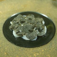 黄公子(天平路店) User Photo
