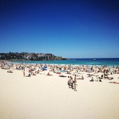 Hurricane's Grill - Bondi Beach User Photo