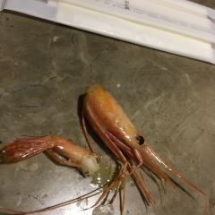 牛昌苑(大江户店) User Photo
