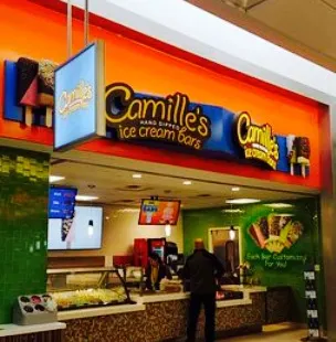 Camille's Ice Cream Bars