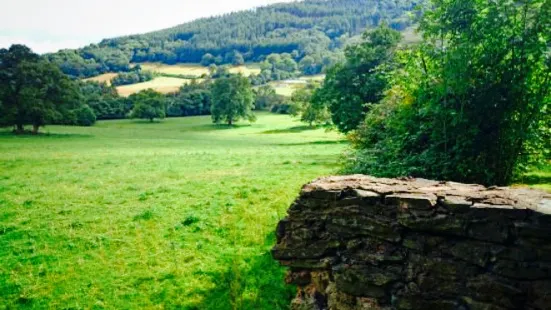 Part-Y-Seal Tea Rooms